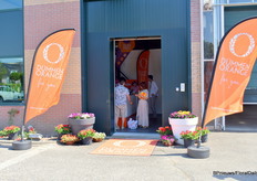 Op naar Dümmen Orange.